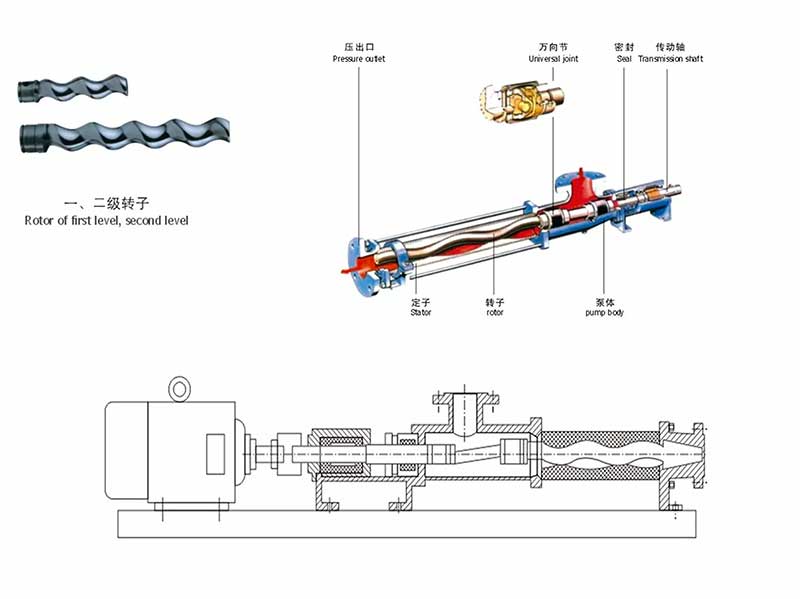 Sanitary screw pump structure diagram