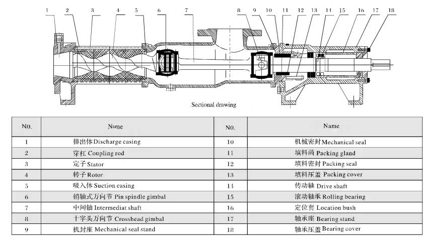 Direct-connected screw pump sectional drawing