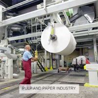 Pulp-and-Paper-Industry